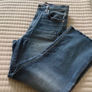 JOE’S jeans Ankle High Rise straight not so wide leg 25 W